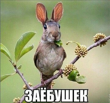 Спокойная красивая музыка