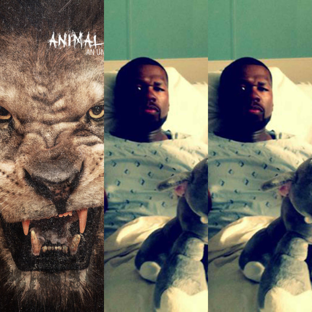 Animal Ambition An Untamed Desire to Win [Deluxe Edition] from AGR (из Одноклассников)